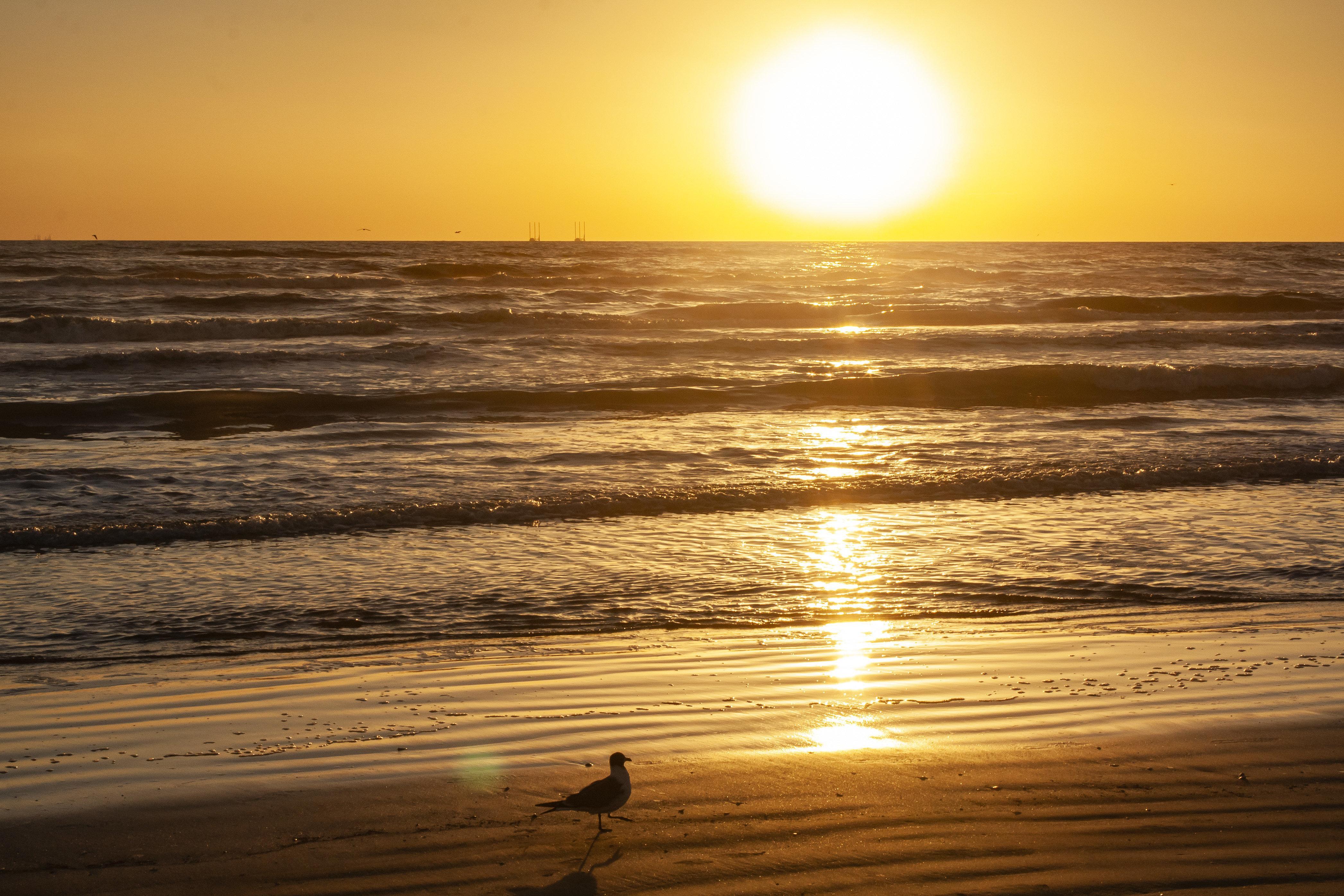 Holiday Inn Resort South Padre Island-Beach Front, An Ihg Hotel Exterior foto